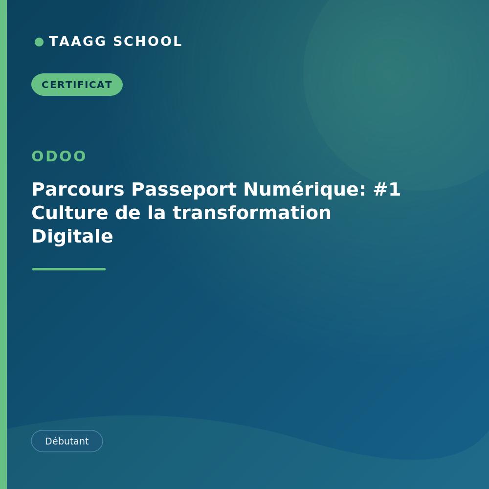 Parcours Passeport Numérique: #1 Culture de la transformation Digitale