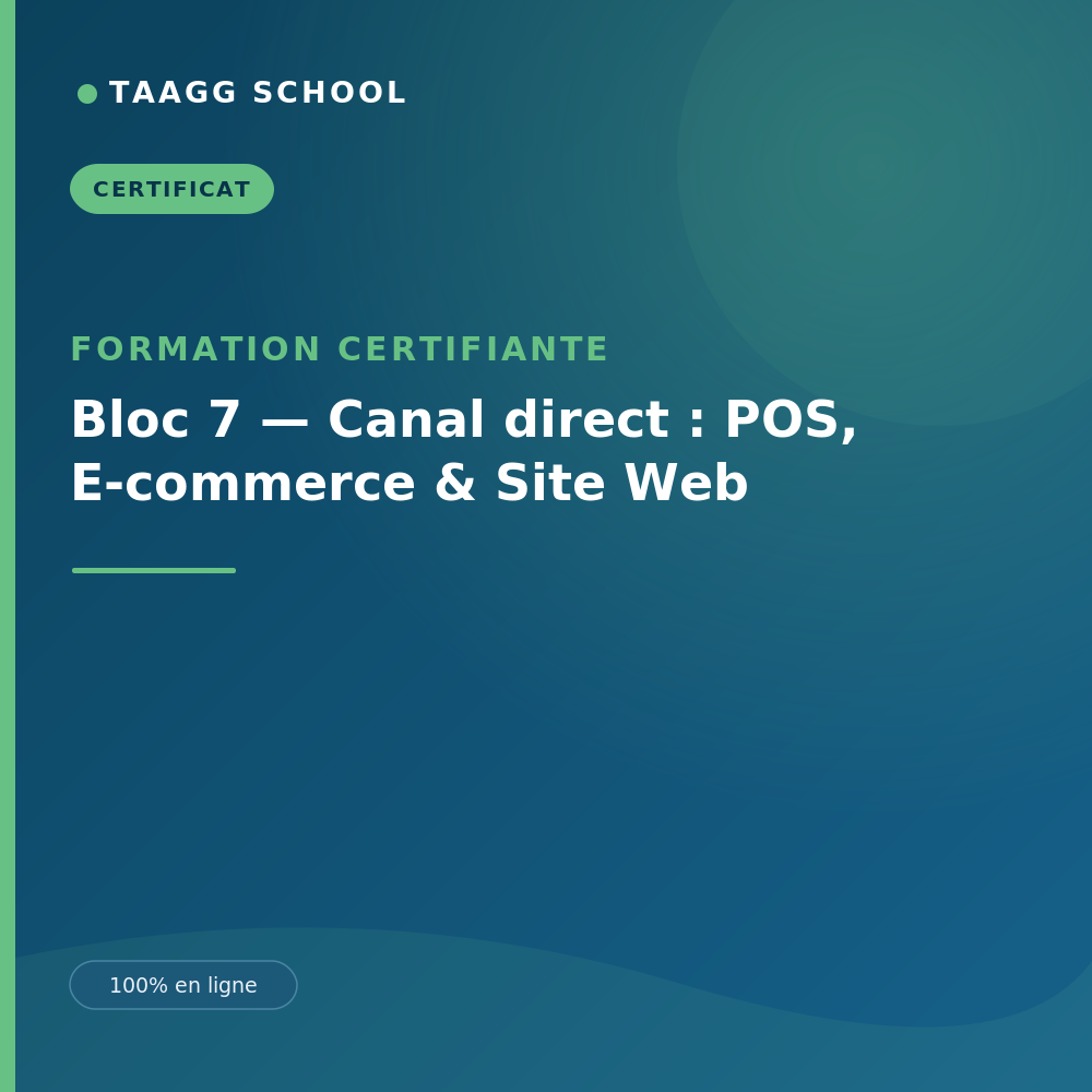 Bloc 7 — Canal direct : POS, E-commerce & Site Web