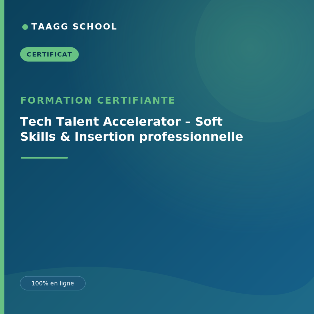 Tech Talent Accelerator – Soft Skills & Insertion professionnelle