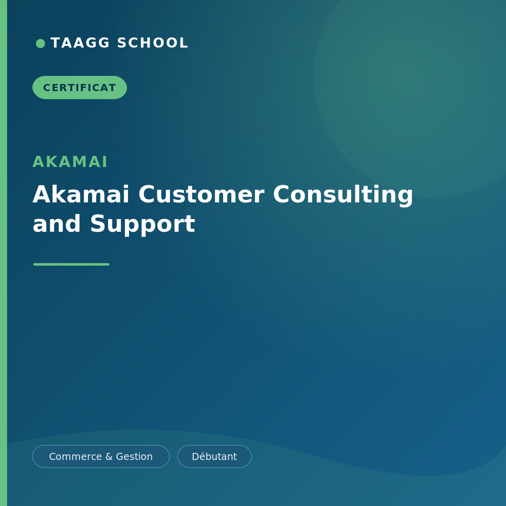 Akamai Customer Consulting and Support
