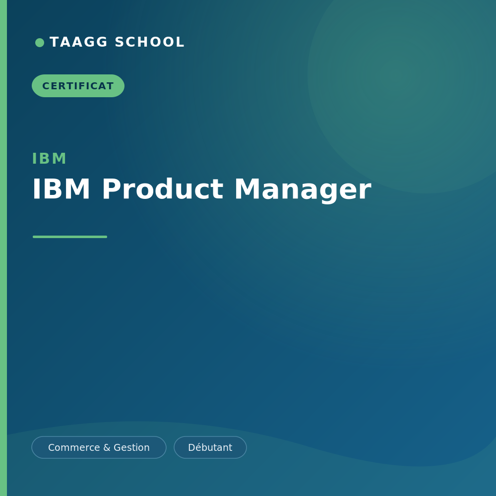IBM Product Manager