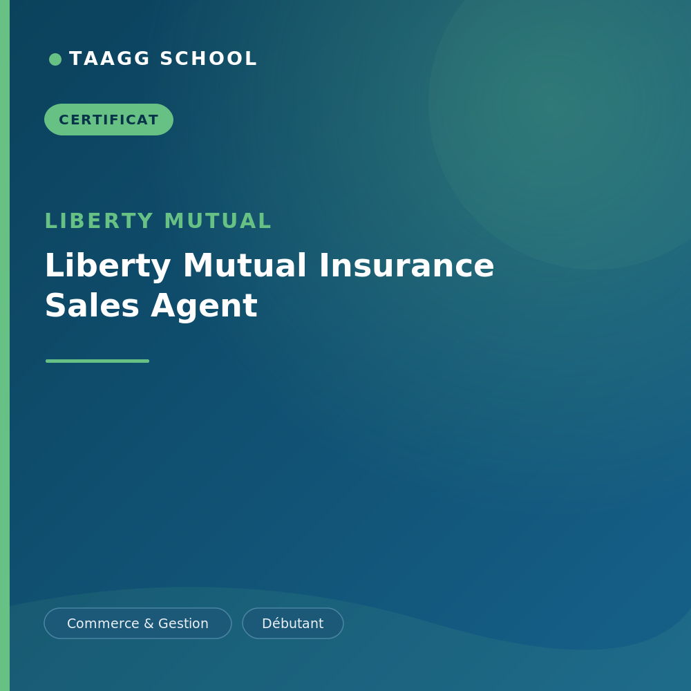 Liberty Mutual Insurance Sales Agent