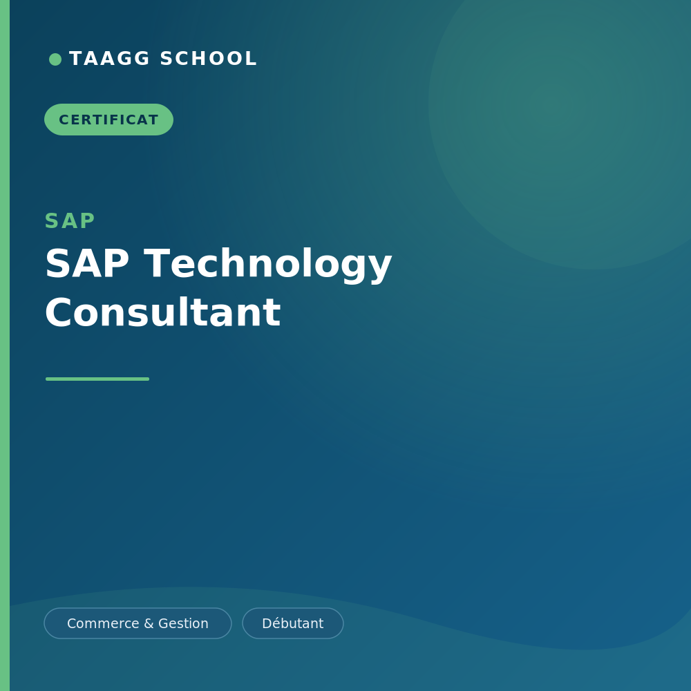 SAP Technology Consultant