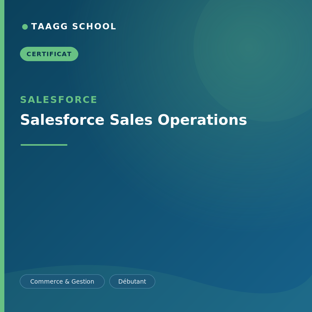 Salesforce Sales Operations