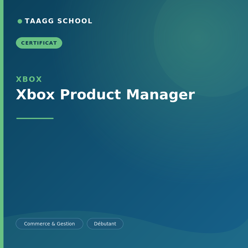 Xbox Product Manager