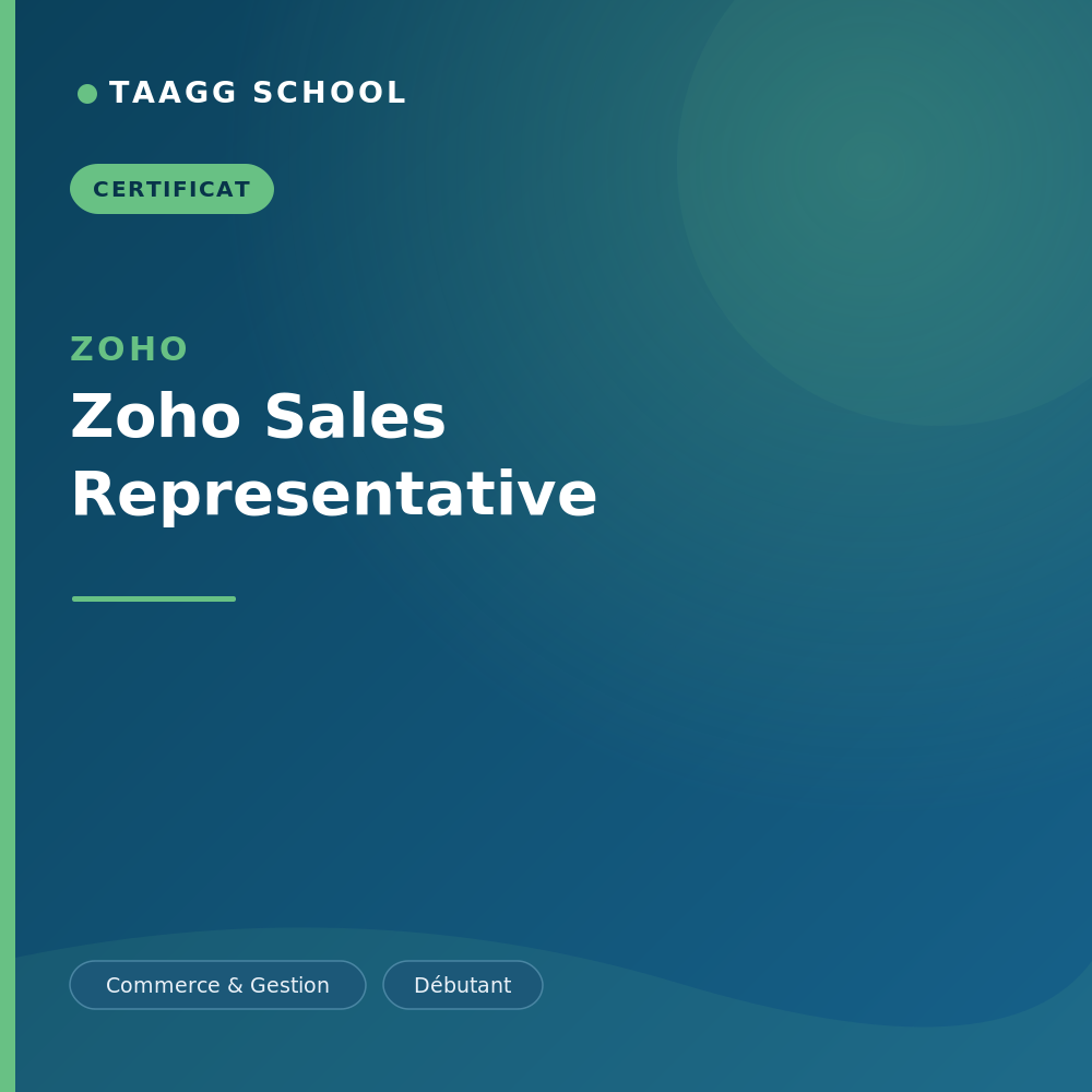 Zoho Sales Representative