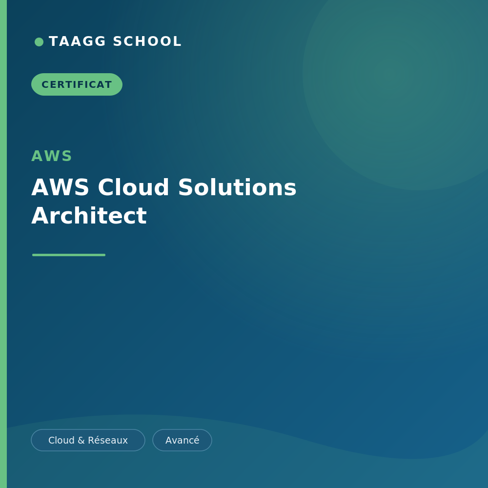 AWS Cloud Solutions Architect