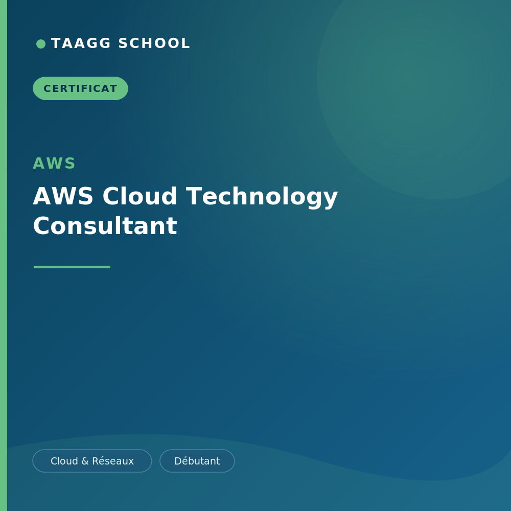 AWS Cloud Technology Consultant