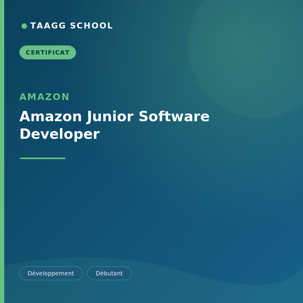 Amazon Junior Software Developer