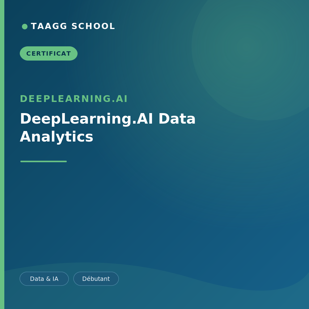 DeepLearning.AI Data Analytics