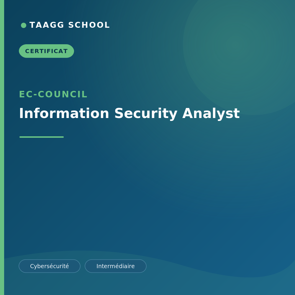 Information Security Analyst
