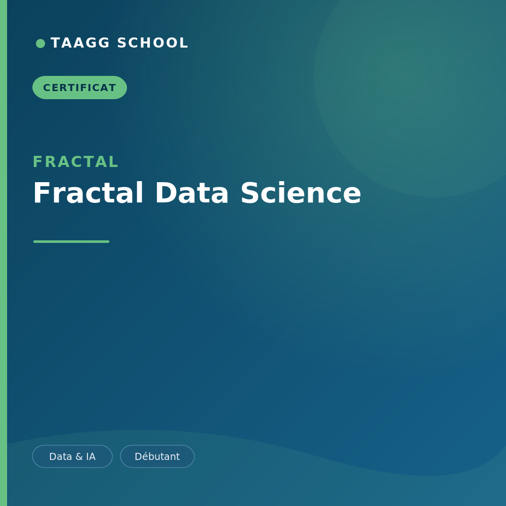 Fractal Data Science