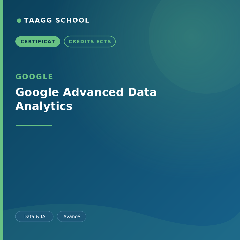 Google Advanced Data Analytics