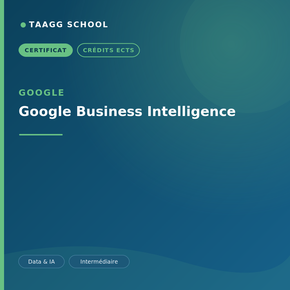 Google Business Intelligence