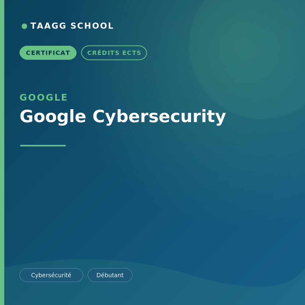 Google Cybersecurity