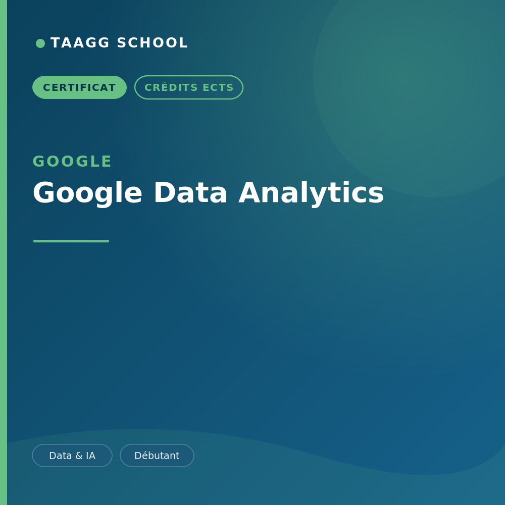 Google Data Analytics