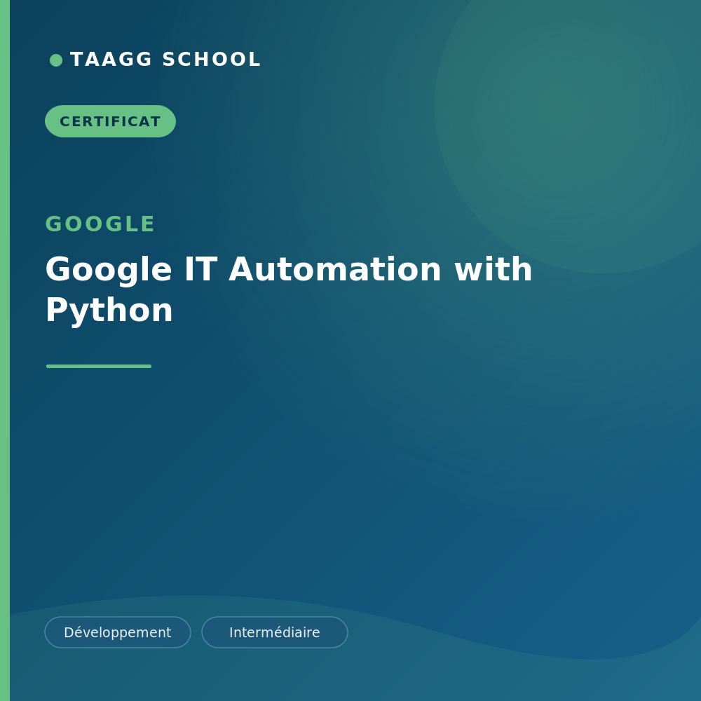 Google IT Automation with Python