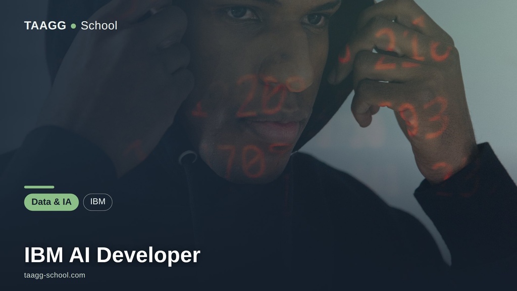 IBM AI Developer