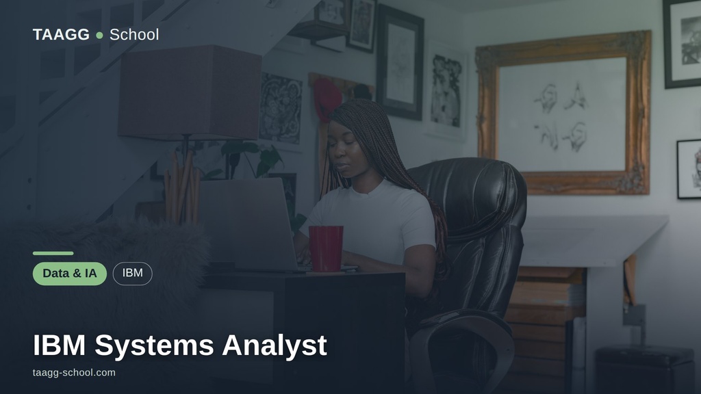 IBM Systems Analyst