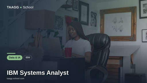 IBM Systems Analyst