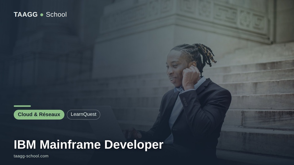 IBM Mainframe Developer