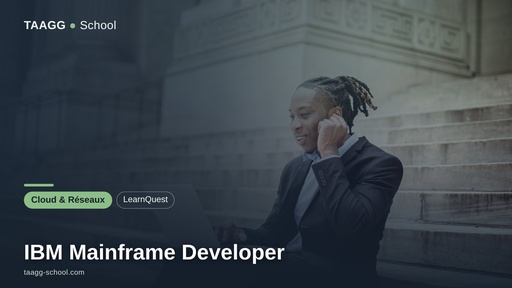 IBM Mainframe Developer