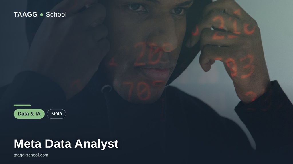 Meta Data Analyst
