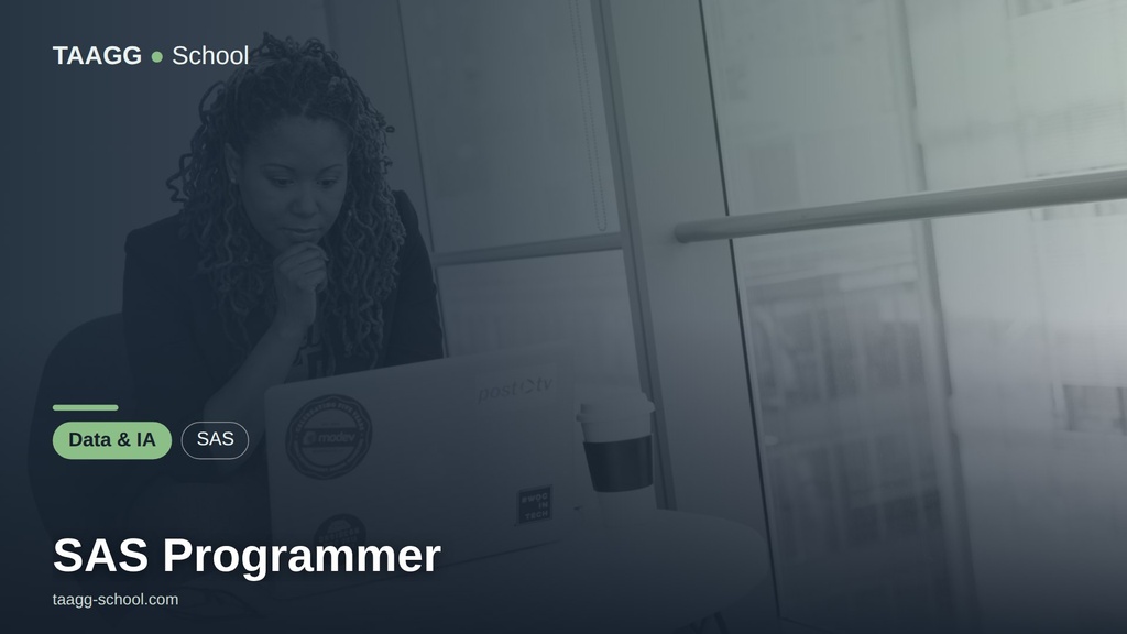 SAS Programmer