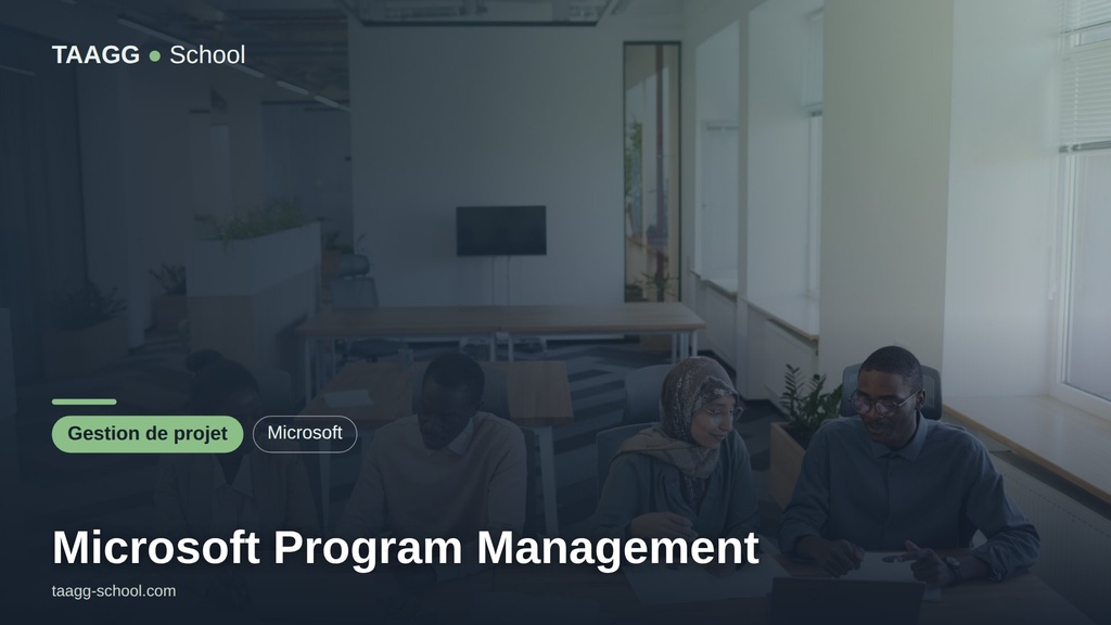 Microsoft Program Management