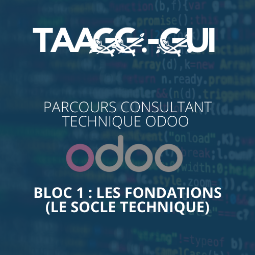 Parcours consultant technique ODOO - Bloc 1 : Les Fondations (Le socle technique)