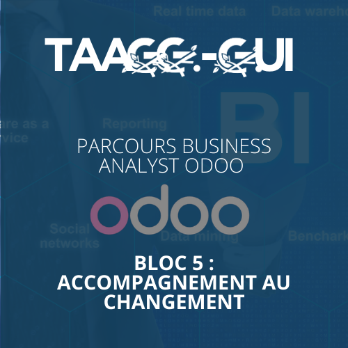 Parcours Business Analyst Odoo - Bloc 5 : Accompagnement au Changement