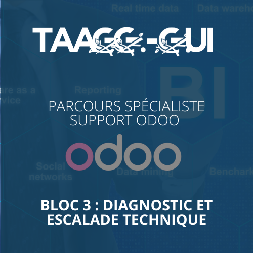 Parcours Spécialiste Support Odoo - Bloc 3 : Diagnostic et Escalade Technique