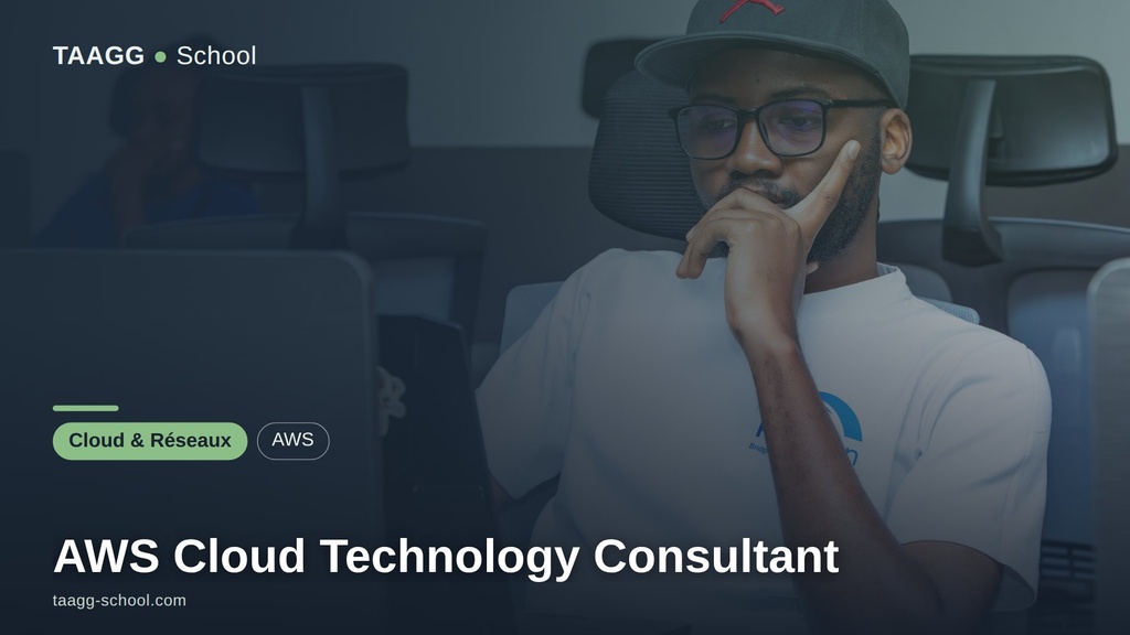 AWS Cloud Technology Consultant